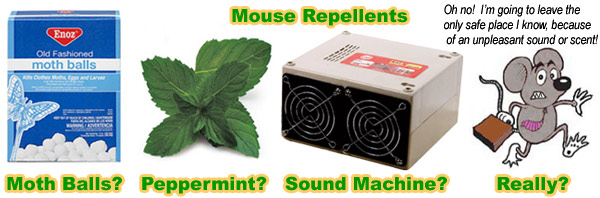 Are mice allergic to peppermint?